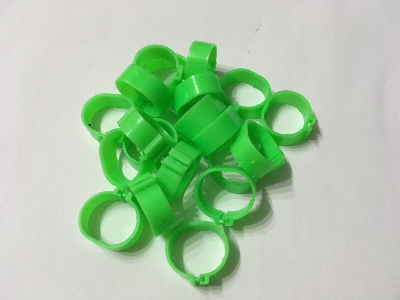 Označovací kroužky pro drůbež zámkové, velikost 16 mm, Barva Zelená
